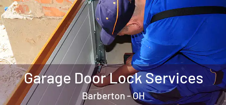 Garage Door Lock Services Barberton - OH