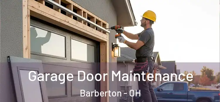Garage Door Maintenance Barberton - OH