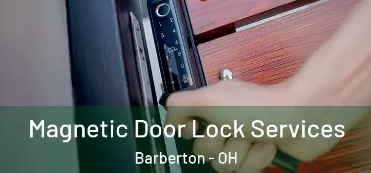 Magnetic Door Lock Services Barberton - OH