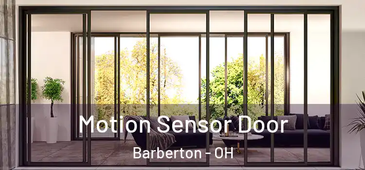 Motion Sensor Door Barberton - OH